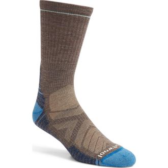 Smartwool Hike Light Cushioning Merino Wool Blend Crew Socks in Taupe-Laguna Blue at Nordstrom, Size X-Large