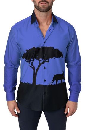 Maceoo Fibonacci Cotton Button-Up Shirt in Mufasa Blue at Nordstrom, Size Xxx-Large