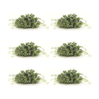 Melrose International Spring Boxwood Foliage Half Orb (Set of 6) - Green, White