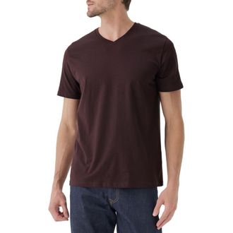 Pact Organic Cotton Softspun Essential V-Neck Tee in Plum at Nordstrom, Size X-Large