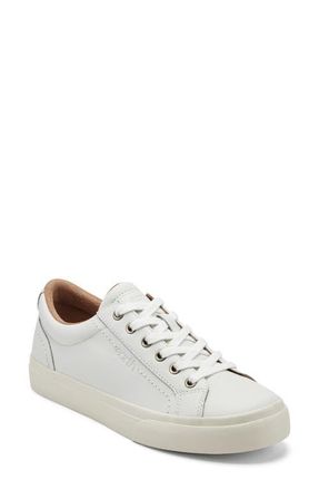 Earth Dailey Sneaker in White at Nordstrom, Size 7.5