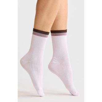Nordstrom Tipped Wide Rib Dress Socks in Purple Moss at Nordstrom, Size 9
