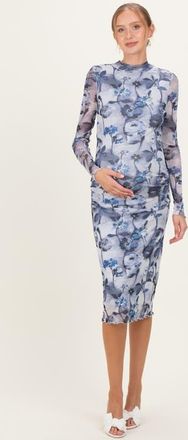 Pinkblush Floral Mesh Long Sleeve Midi Dress in Blue at Nordstrom, Size Small