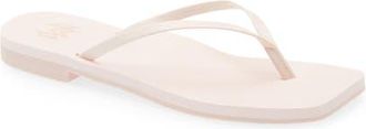 Malvados Lola Square Toe Flip-Flop in Peonie at Nordstrom, Size 10