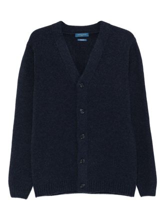 Daniele Fiesoli Blue Cardigan Featuring A V-Neckline
