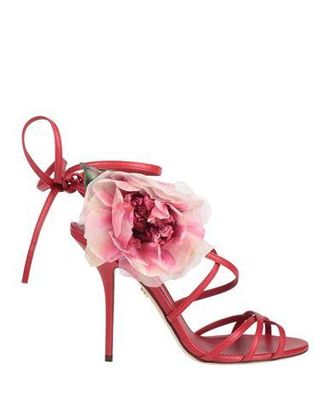 Dolce & Gabbana Sandals
