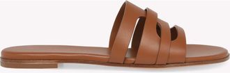 Gianvito Rossi Nora Mule in Brown Calf at Nordstrom, Size 36.5