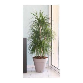 Riviera & Bar Riviera - Maceta Loft Con Reserva De Agua - Redonda - &Oslash; 50 X H 46 Cm - Topo