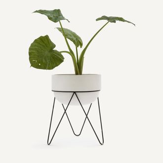 AM.PM Bloempot H54 cm, Plantae