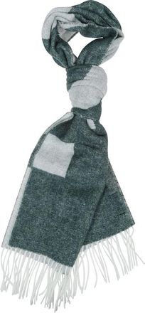 A.P.C. Malo Scarf - Heren - Wintersjaals - Groen - ONE Size - Wol - Accessoires