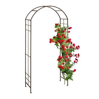 Relaxdays Relaxdays Arco De Jard&iacute;n Met&aacute;lico, Tutor Enredaderas Y Rosas, 224 X 110 X 41 Cm, Soporte Trepadoras, Resistente, Bronce