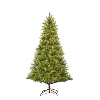 Black Box Trees Nagoya verde h210xb115xl115cm