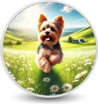 OEM Yorkie Bliss: Bailando Por Los Campos De Margaritas (moneda De 1 Oz)