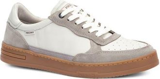 Pikolinos Xativa Sneaker in Espuma at Nordstrom, Size 12.5-13Us