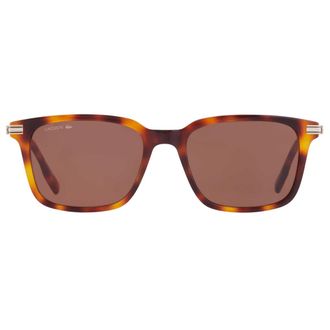 Lacoste Brown Square Mens Sunglasses L6035S 214 53