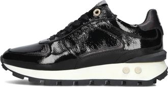 Floris Van Bommel Schoenen, Dames, Zwart, 41 1/2 EU, Wol, Zwarte Lage Sneakers Blokki Stijl