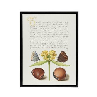 Artery8 Moths Jerusalem Sage & Beans Calligraphy Framed Canvas Wall Art in White | Size: W24 x H32