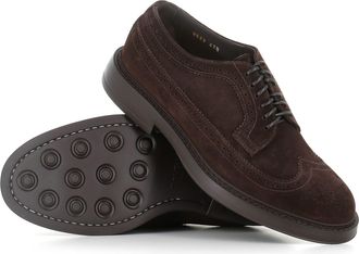 Doucal's Brogue
