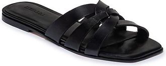 Bernardo Oxford-05 Slides