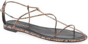 Jeffrey Campbell Trawl Ankle Strap Sandal in Beige Black Snake at Nordstrom Rack, Size 6.5