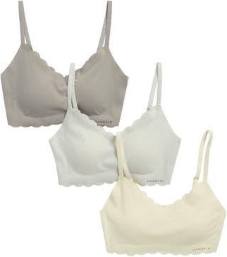 Danskin 3-Pack Scalloped Laser Cut Lounge Bras in Honey Dew/Nickel Grey/Folk at Nordstrom Rack, Size X-Large