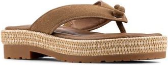 Donald J Pliner Samiya Thong Sandal in Saddle at Nordstrom, Size 6.5