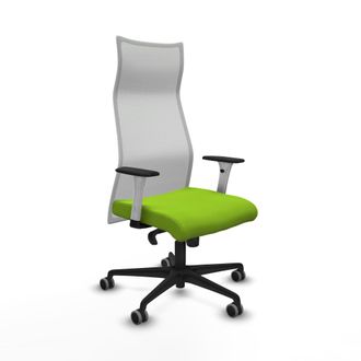 Piqueras y Crespo Silla De Oficina Piqueras Y Crespo B1b036g Pistacho