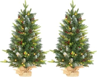 HOMCOM 2 Pieces Prelit Artificial Tabletop Christmas Trees - LED Display | TJ Hughes
