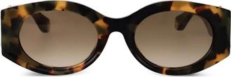 Roberto Cavalli Occhiali da sole tondi - Marrone
