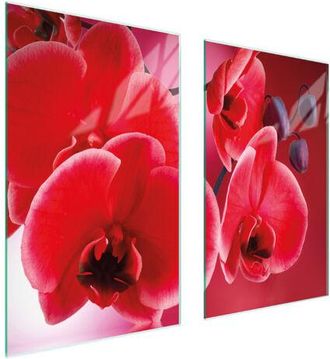 OEM Placa Protectora De Vidrio Para Estufa 75x52 Orqu&iacute;dea