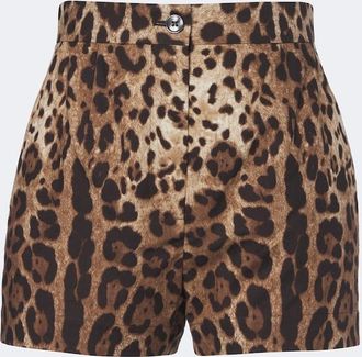 Dolce & Gabbana Leopard-print cotton shorts