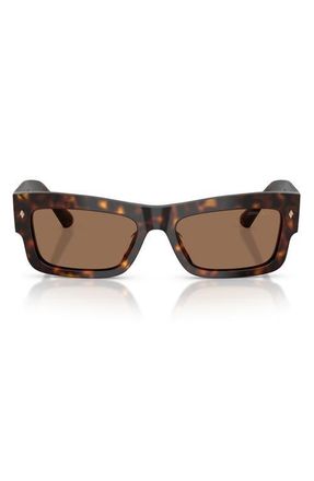 Jimmy Choo London 53mm Rectangular Sunglasses in Havana /Dark Brown at Nordstrom