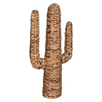 Atmosphera Atmosphera - Cactus &laquo;hacienda&raquo; - Jacinto De Agua H75 Cm Cr&eacute;ateur DInt&eacute;rieur