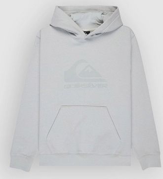 Quiksilver Comp Logo Kids Hoodie wit