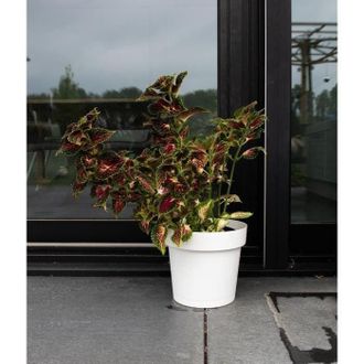 OEM Maceta Con Reserva De Agua - Garden Id Glamour - Blanco 40 Cm - Superficie Granulada - Interior/exterior - Dise&ntilde;o Elegante