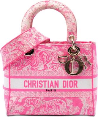 Dior Pre-owned Dior Medium Embroidered Canvas Toile De Jouy Lady D Lite Ladies 8STUIABGQDUXVCJ2