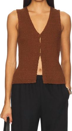 Astr Taimi Crochet Sweater Vest In Brown