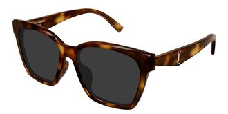 Saint Laurent SL M171/F Asian Fit 003 Womens Sunglasses Tortoiseshell Size 57