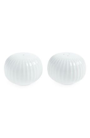K&auml;hler Hammersh&oslash;i Salt & Pepper Shakers Set in White at Nordstrom