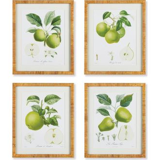 Napa Home & Garden Fruit Study Set of 4 in Green at Nordstrom