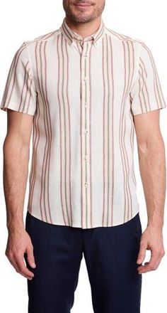 Paisley & Gray Brian Short Sleeve Linen Blend Button-Down Shirt in Olive Rose Stripe at Nordstrom Rack, Size Xxx-Large