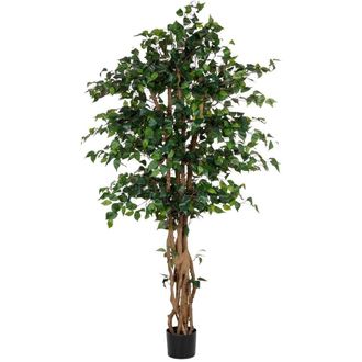 Wanderlust Deco Planta Banyan Decorativa Artificial En Maceta 40x30x180h Cm