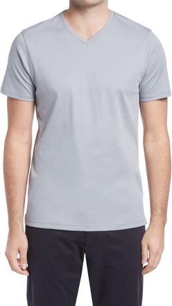 Robert Barakett Georgia Regular Fit V-Neck T-Shirt in Monument G at Nordstrom, Size Xx-Large