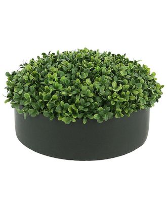 Creative Displays Inc. Boxwood In 12In Round Black Fiberstone Planter