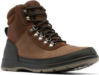 Sorel Ankeny II Waterproof Hiking Boot in Tobacco/Black at Nordstrom Rack, Size 14