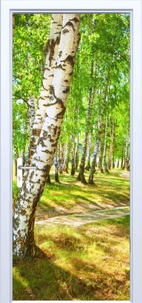 OEM Adhesivo De Tela Para Puerta Con Dise&ntilde;o De Sendero En El Bosque De Abedules 882pd