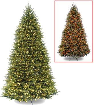 National Tree Company 12Ft Dunhill Fir Tree With 1200 Dual Color Led Lights & Powerconnect