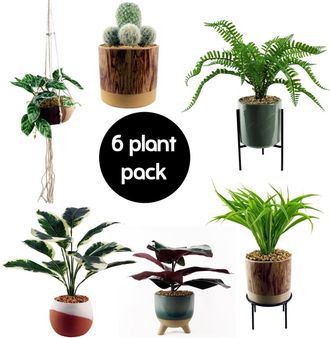 Leaf Pack of 6 Premium Artificial Plants