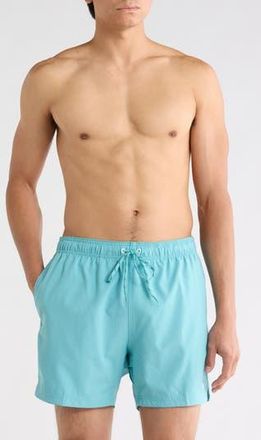 Speedo Volley Swim Trunks in Porcelain at Nordstrom Rack, Size Xx-Large