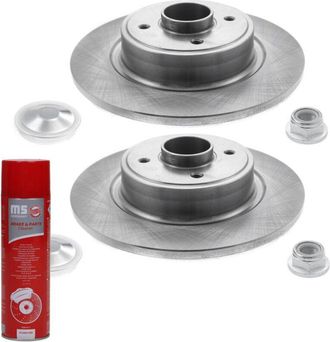 OEM Discos De Freno Con Rodamiento Trasero 2401110166b-pcs-ms 2 Uds